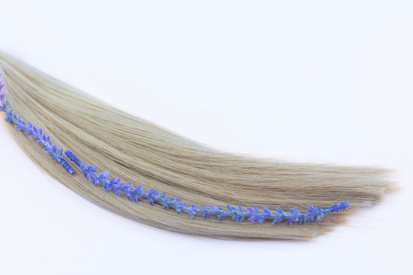LAVENDER-GENIUS WEFT