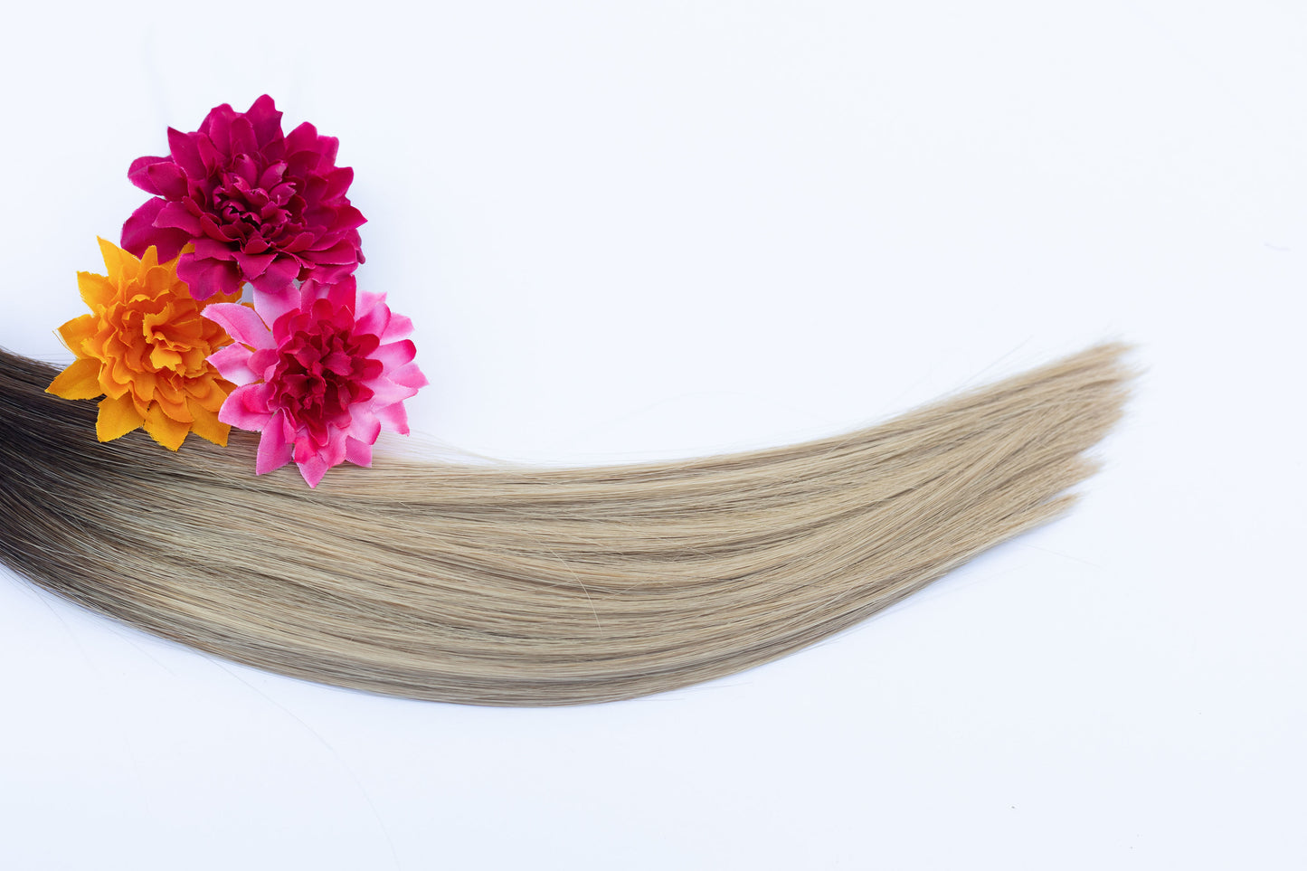 GERBER DAISY -GENIUS WEFT